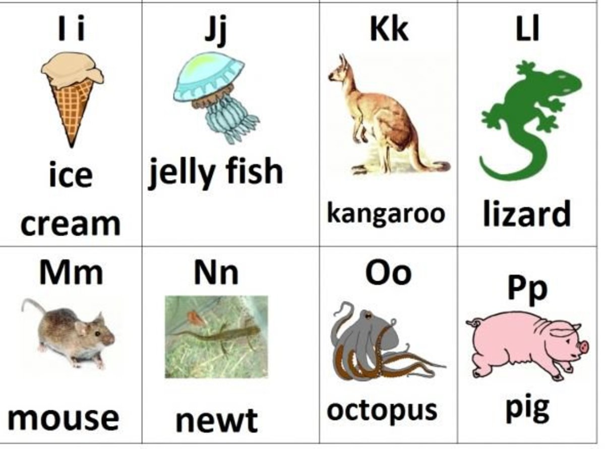 Animal-alphabet-flashcards-free