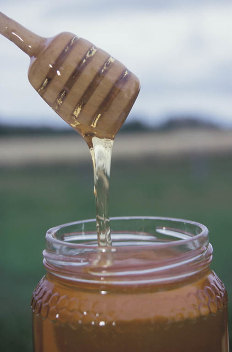 How to Extract Delicious Fresh Honey from Bee Hive Honey Frames