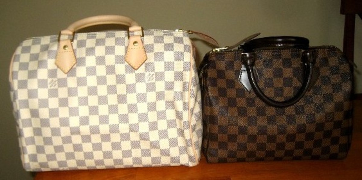 lv-speedy-which-one-is-right-for-you