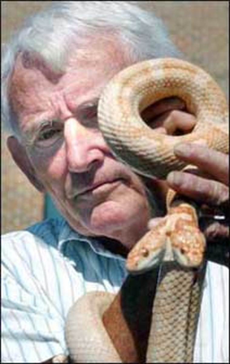 Специалист по змеям