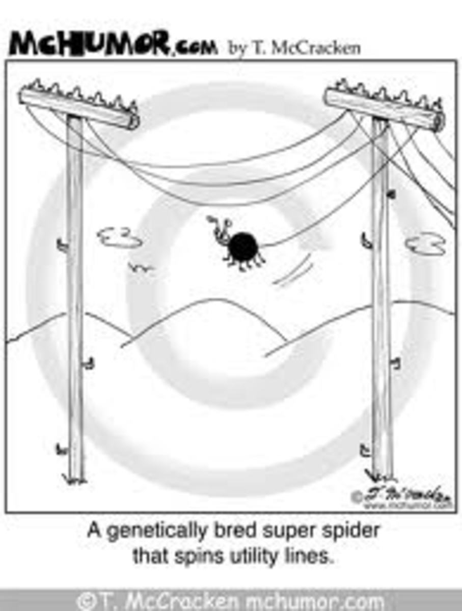 interview-with-banana-spider