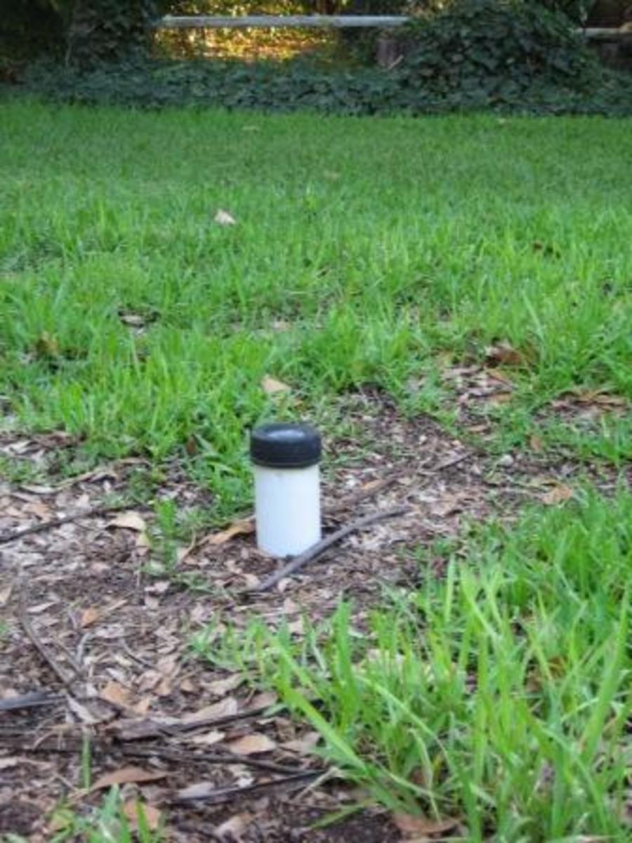 Septic Leach Field Lines Clogged by Roots Cheap Drain Fix Dengarden