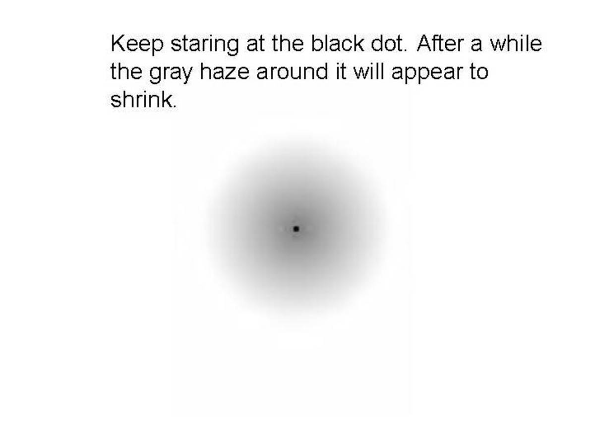 black dot optical illusion 