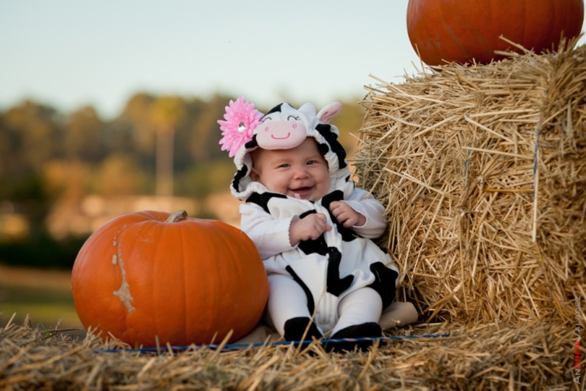 cow-baby-costumes