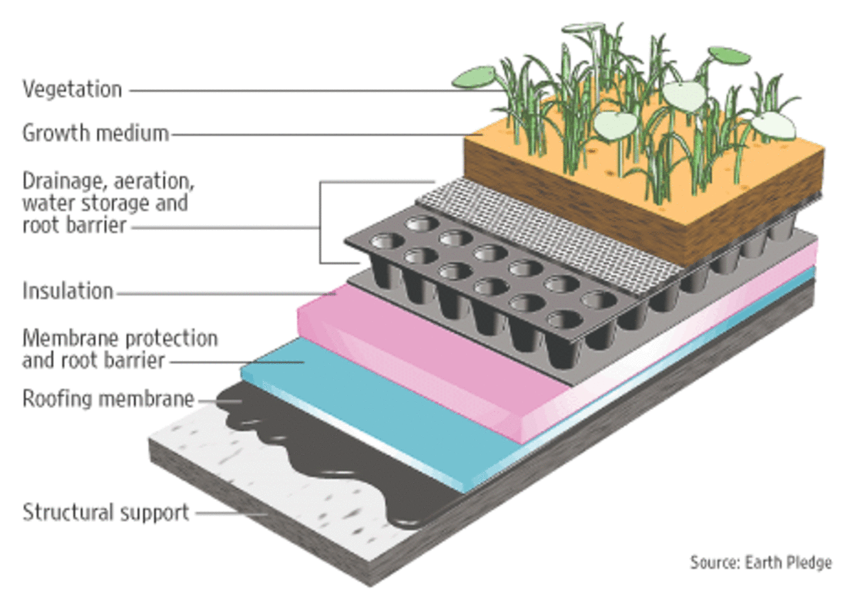 green layer diagram showcasing how to build a green roof top
