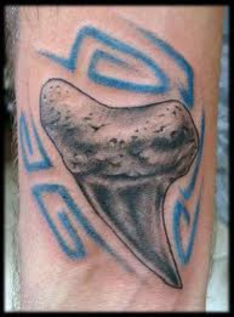 shark-tattoos-and-shark-tooth-tattoos-with-images-history-and-meanings-popular-tattoos
