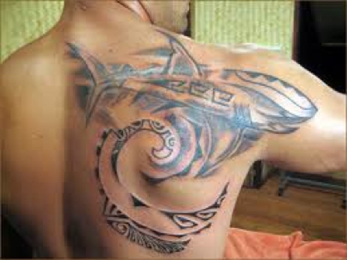 shark-tattoos-and-shark-tooth-tattoos-with-images-history-and-meanings-popular-tattoos