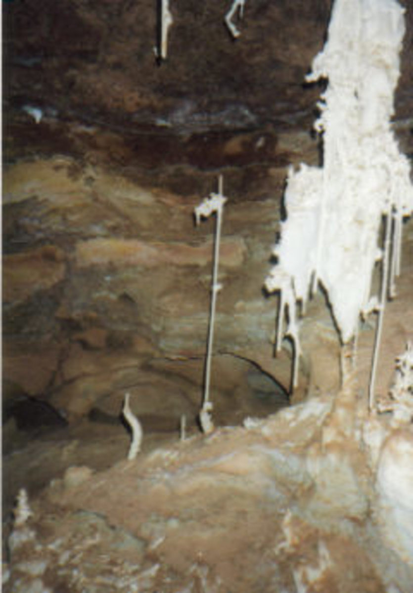 The mace formation in the Mace Room of Spider Cave.