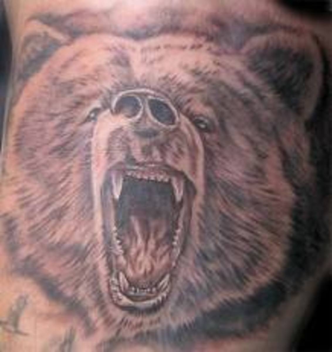Bear Tattoos And Bear Tattoo Designs-Bear Tattoo Meanings And Ideas-Tattoo Pictures