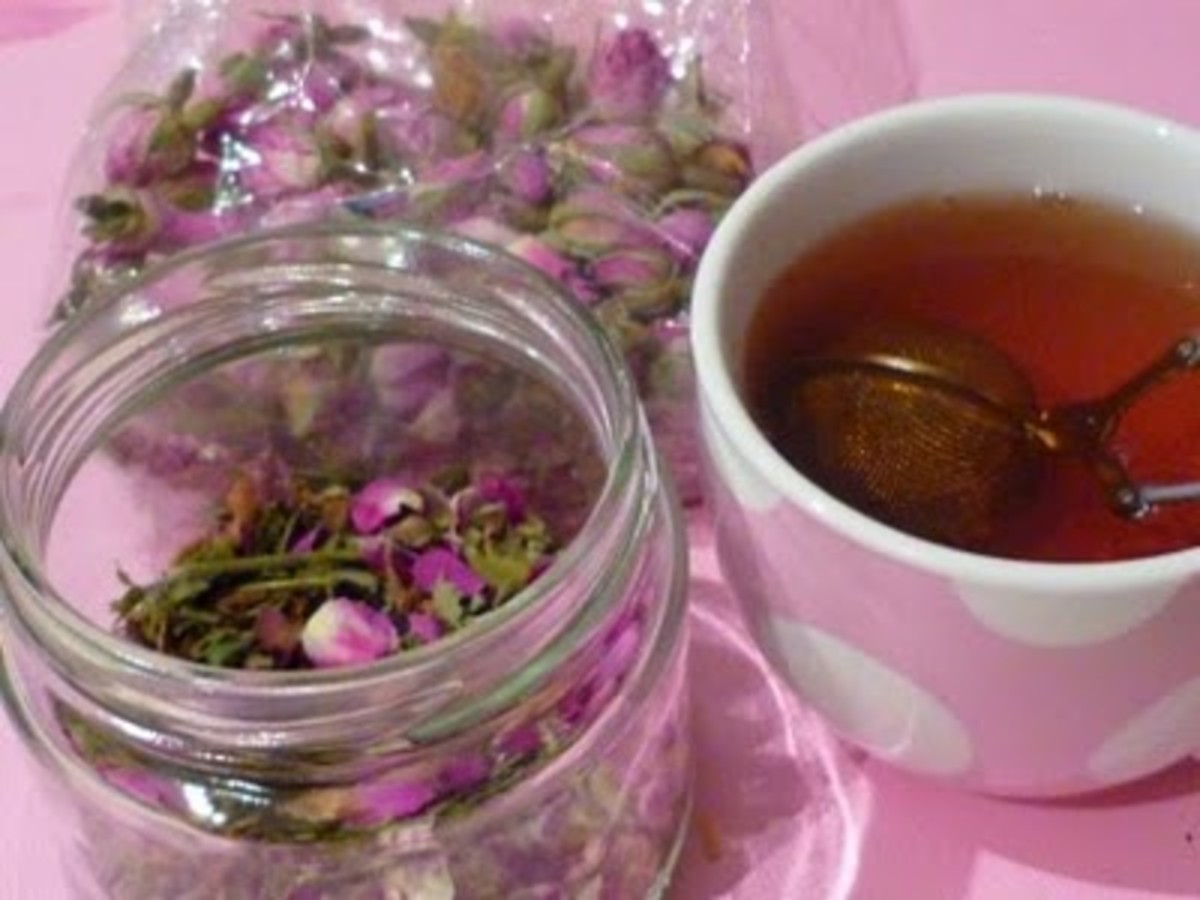 cooling-and-cleansing-the-benefits-of-rose-water