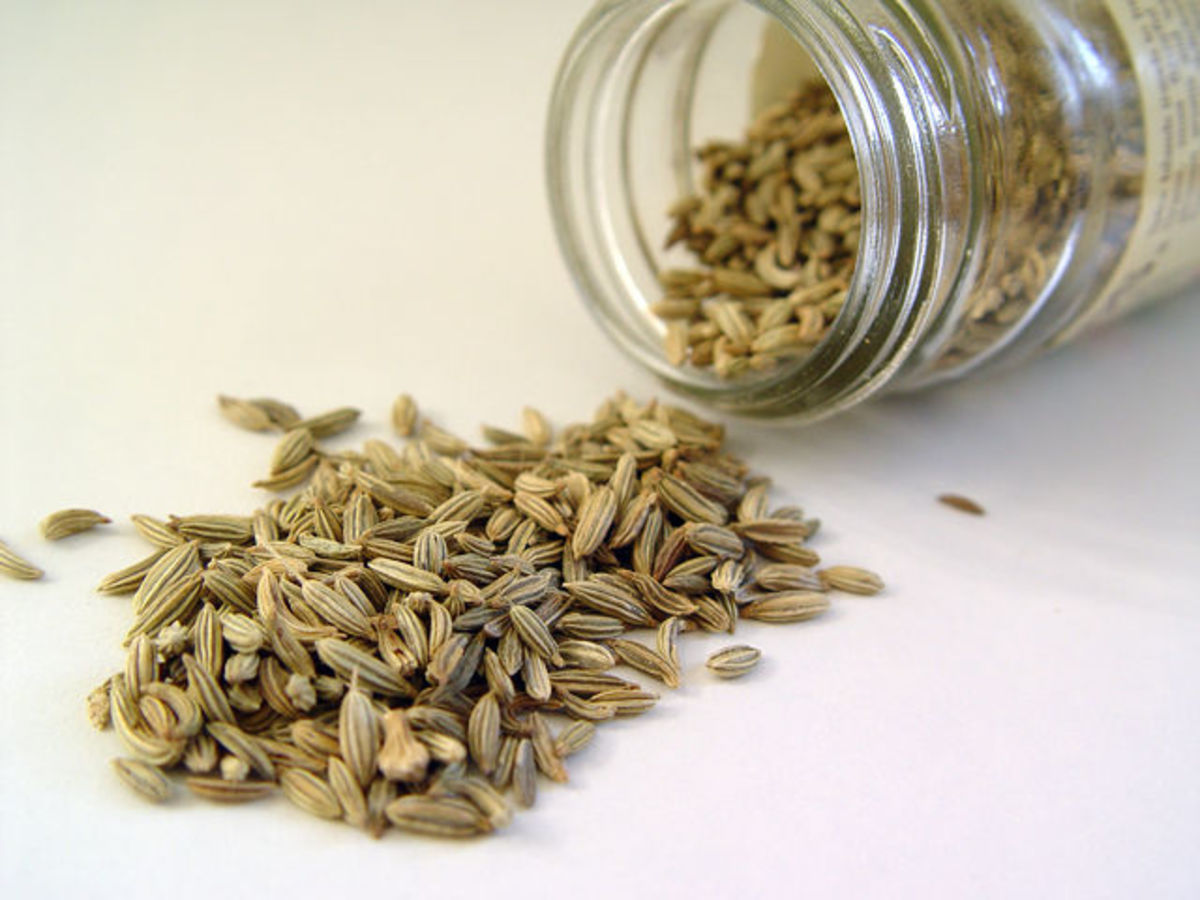 benefits-of-fennel-and-fennel-seeds