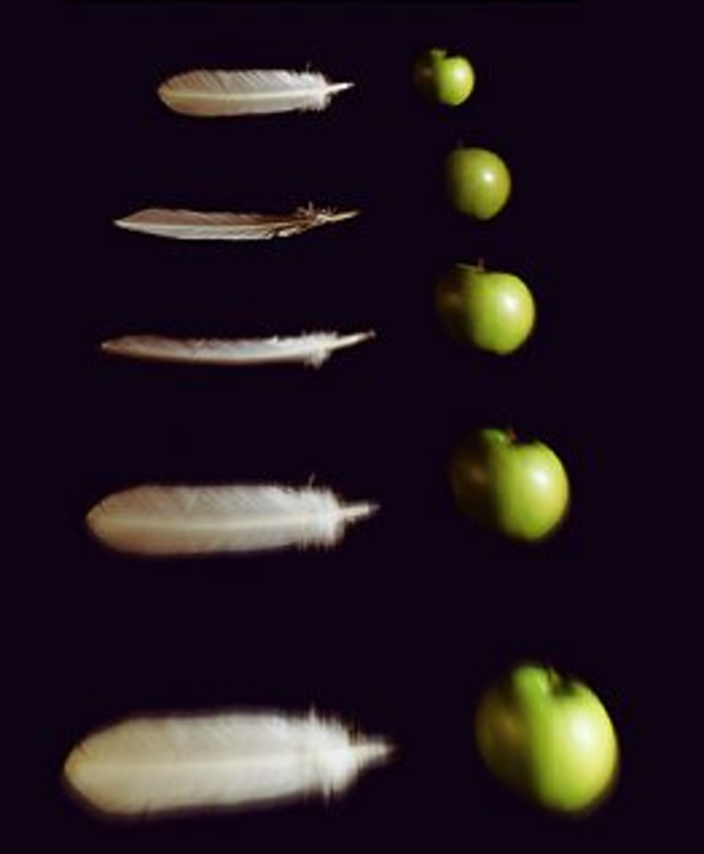 Can you catch the dollar? physics of free fall HubPages