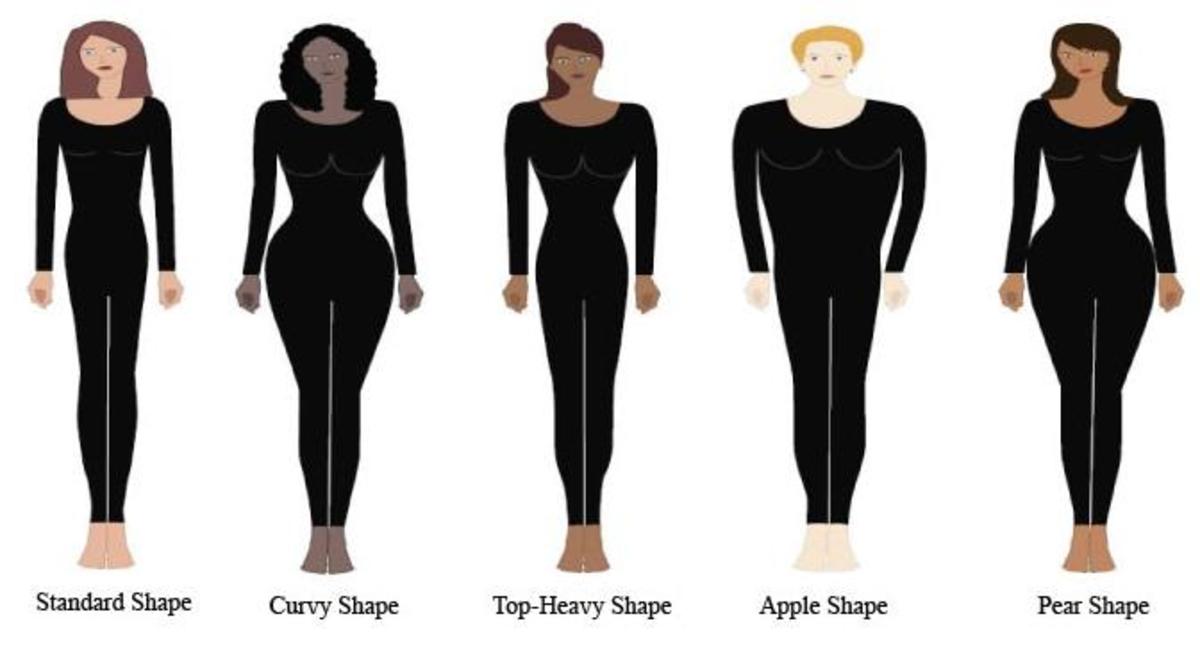 Body Types- Which are you? 