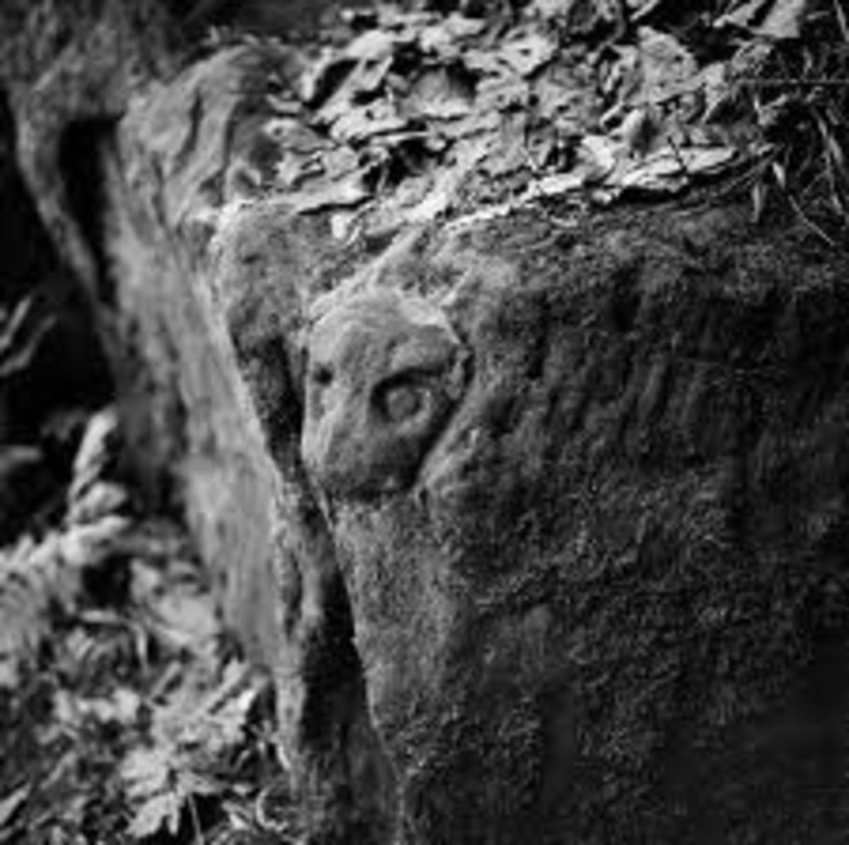 roslin-glen-ancient-rock-carvings