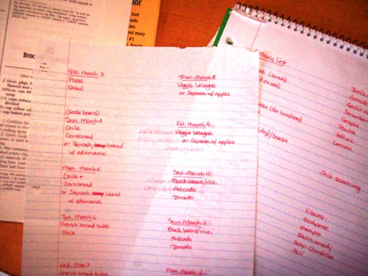 I have my menu plan for the next two weeks, my grocery list in the background and even a recipe book for meal ideas.