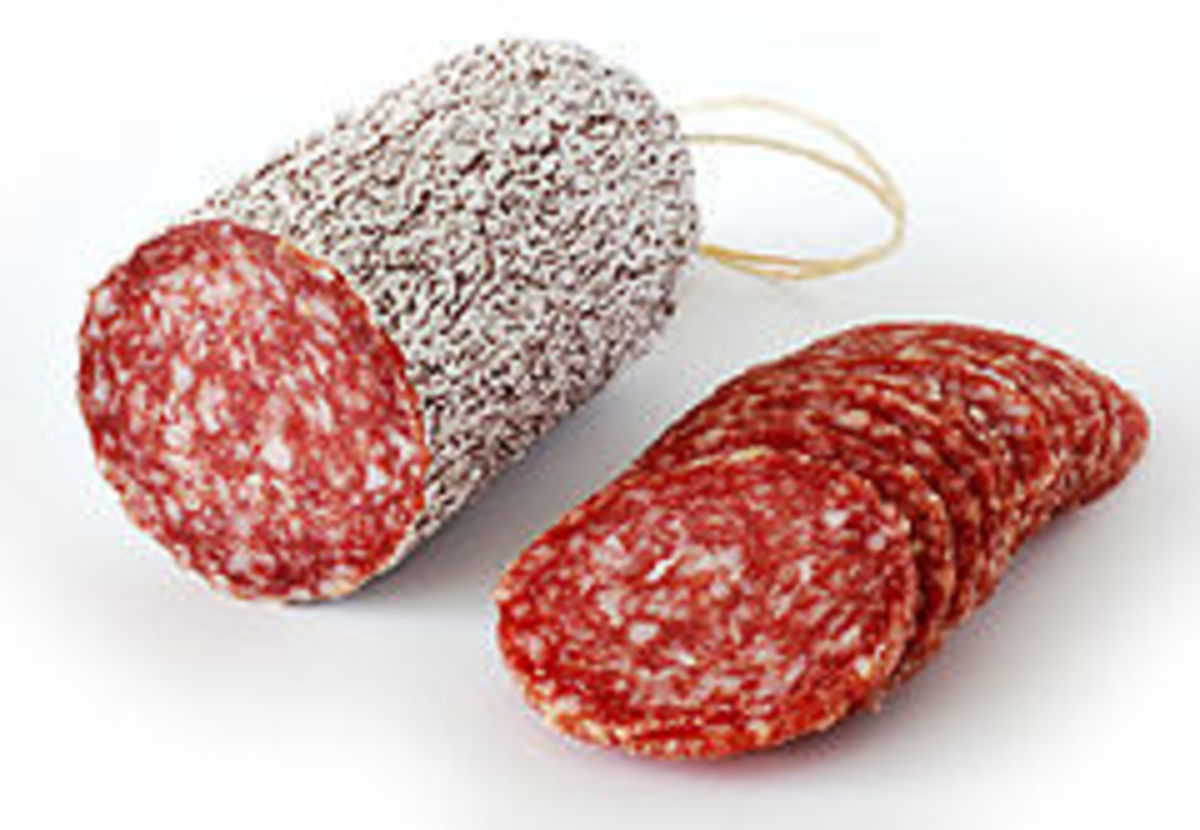 TwelveStep Program for Salami Addiction HubPages