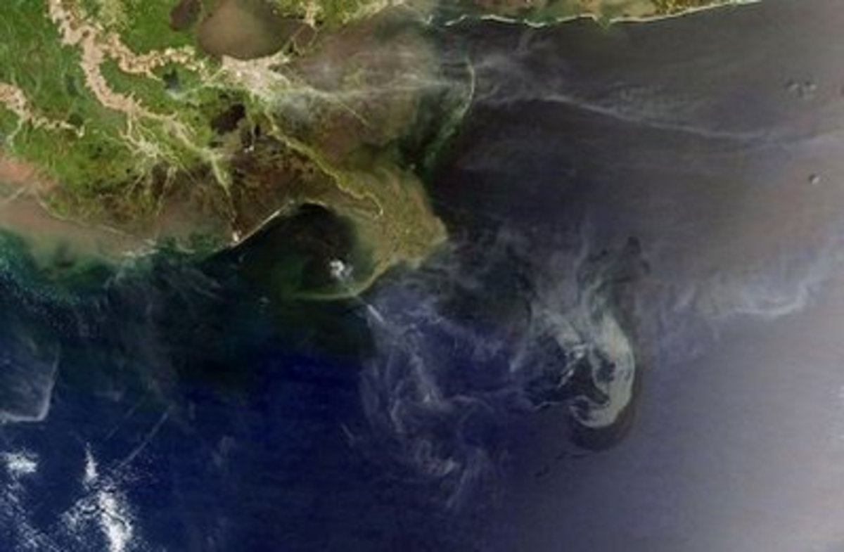 BP Oil spill in the Gulf of Mexico