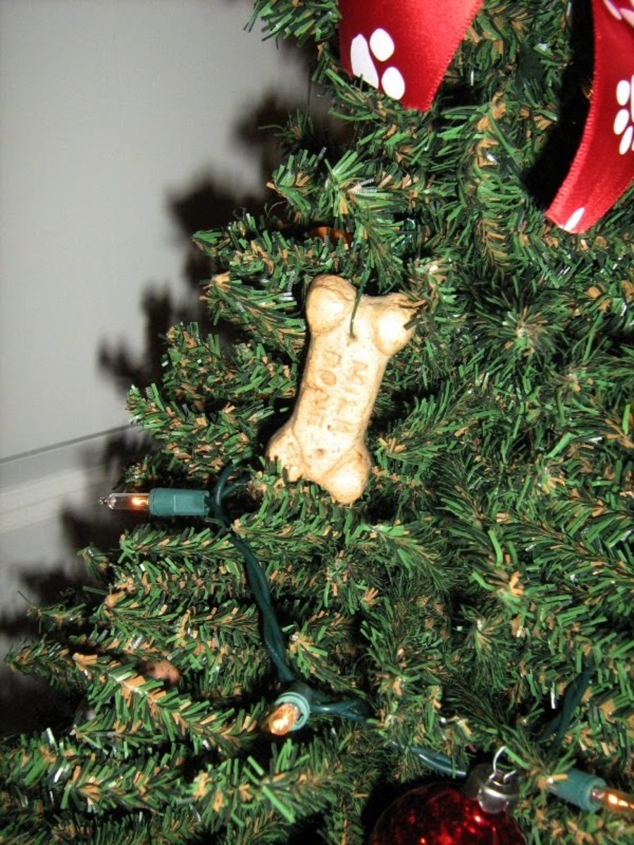 christmas-trees-for-your-pet