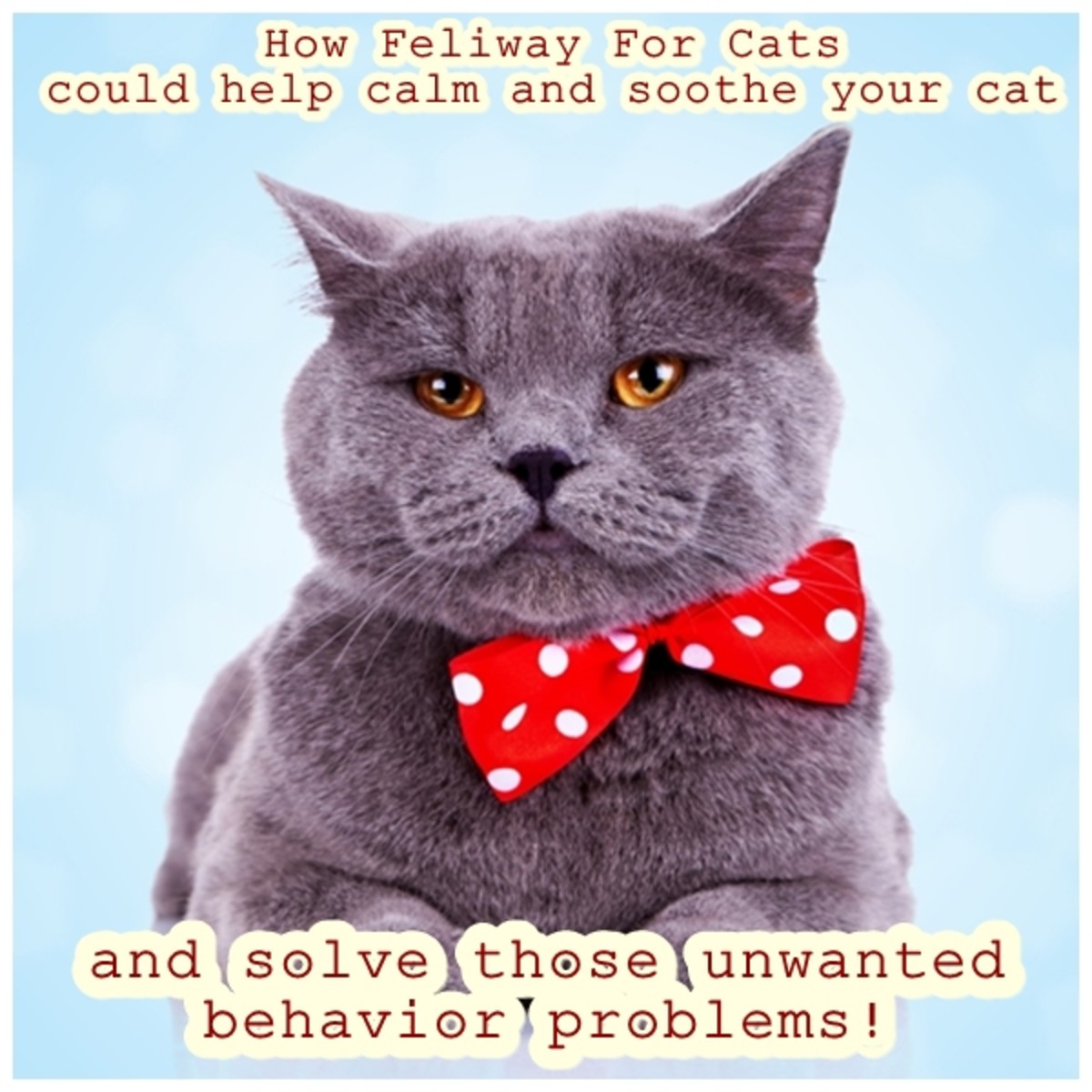 feliway-diffuser-and-feliway-spray-for-cats
