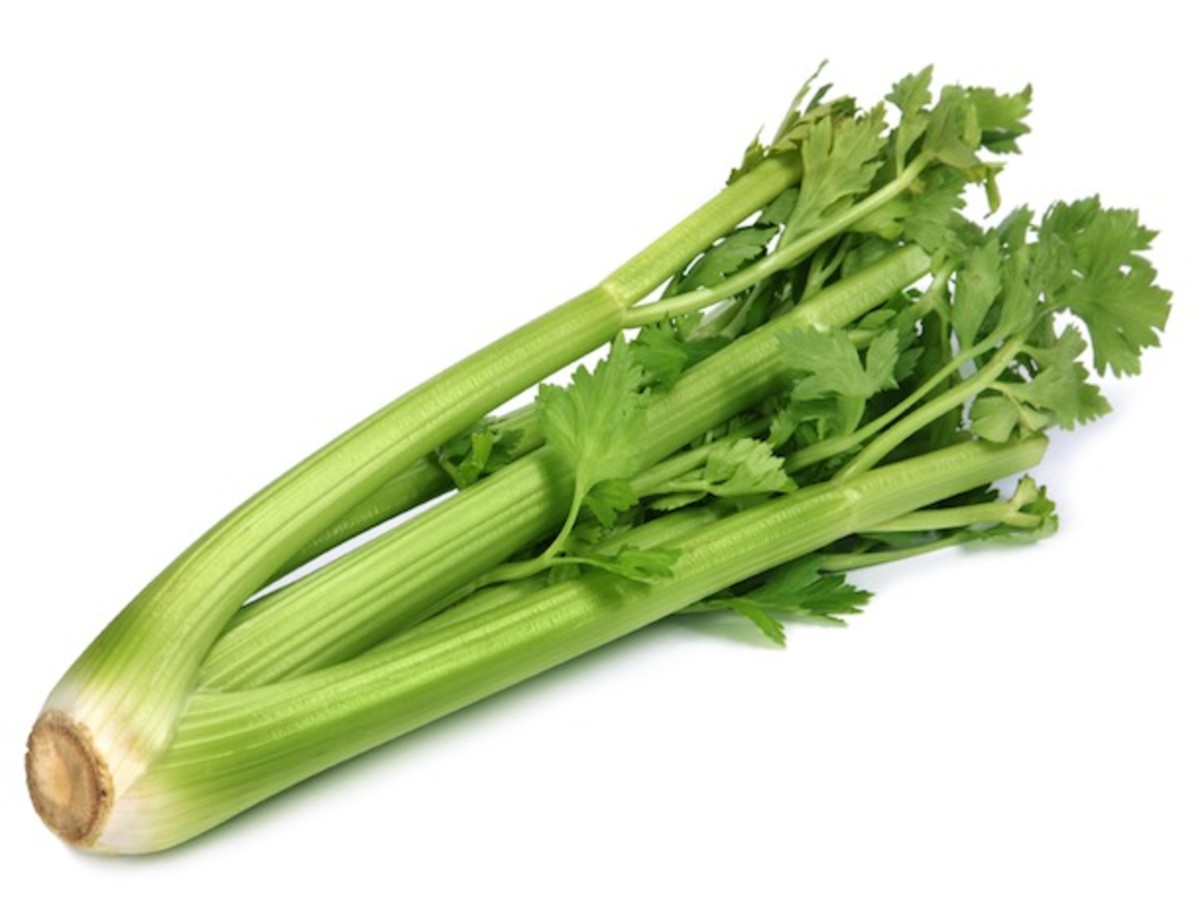 Death by Celery: Man on Celery Diet Found Dead