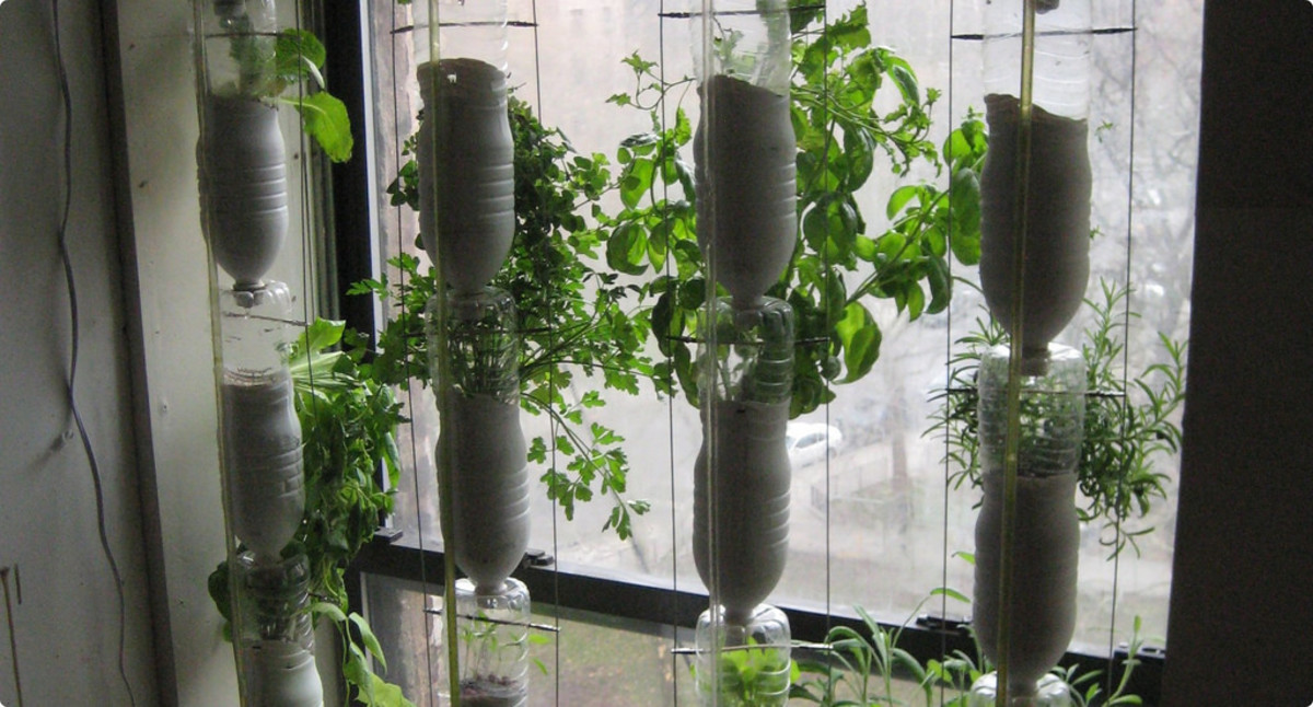 Urban Farming 101 - Window Gardens, Hydroponics, Vacant Lots