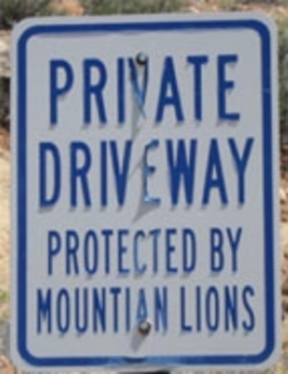 Fish Grooming and Other Funny Signs