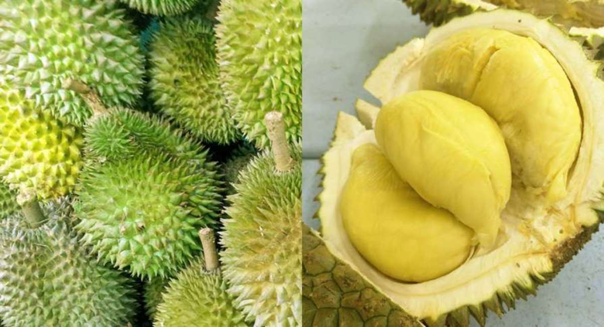 Delicious Exotic Fruits - HubPages