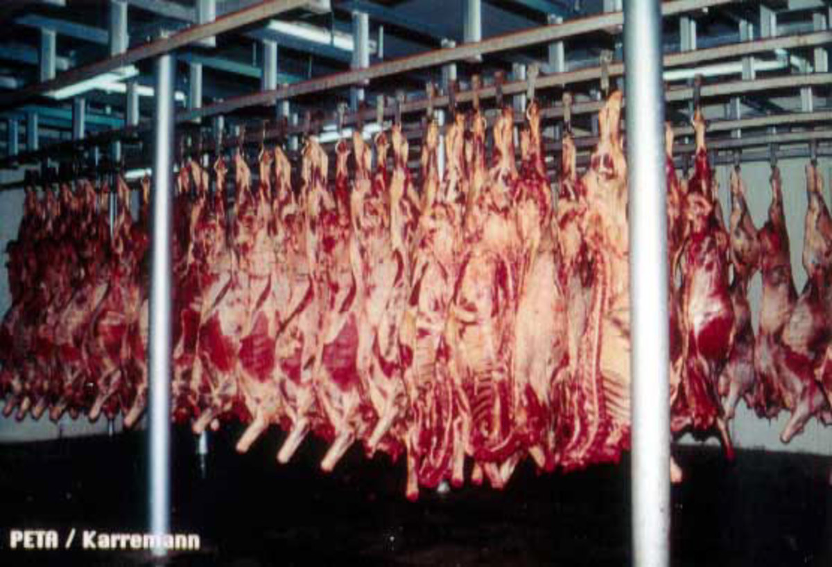 Slaughterhouses by necessity have taken on the assembly line process due to the astronomical quantities of meat that is required to be processed on a daily basis.
