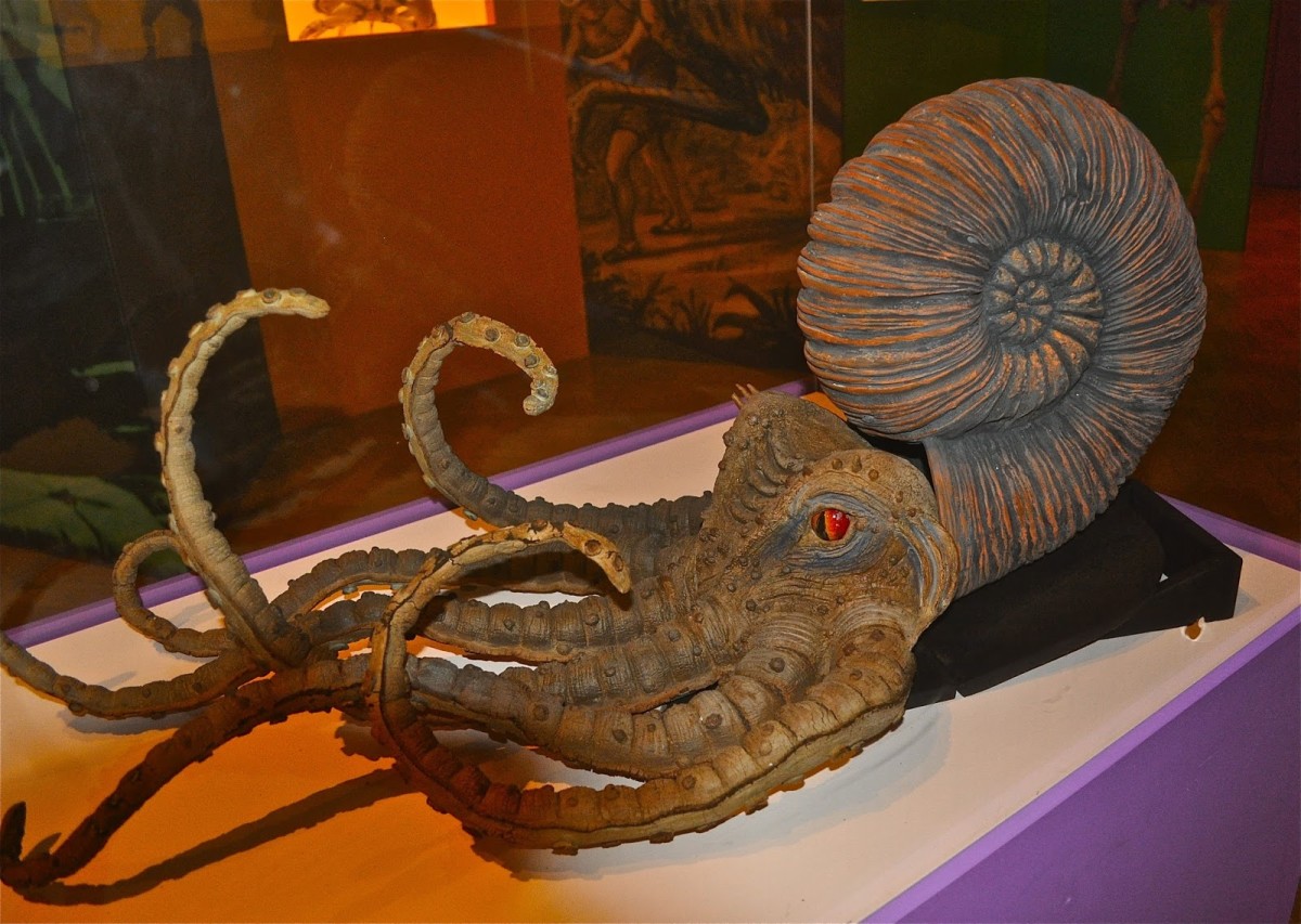 Giants octopus in "Mysterious Island"