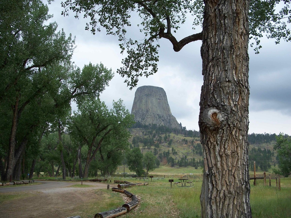 The Devils Tower can be seen from the campground.