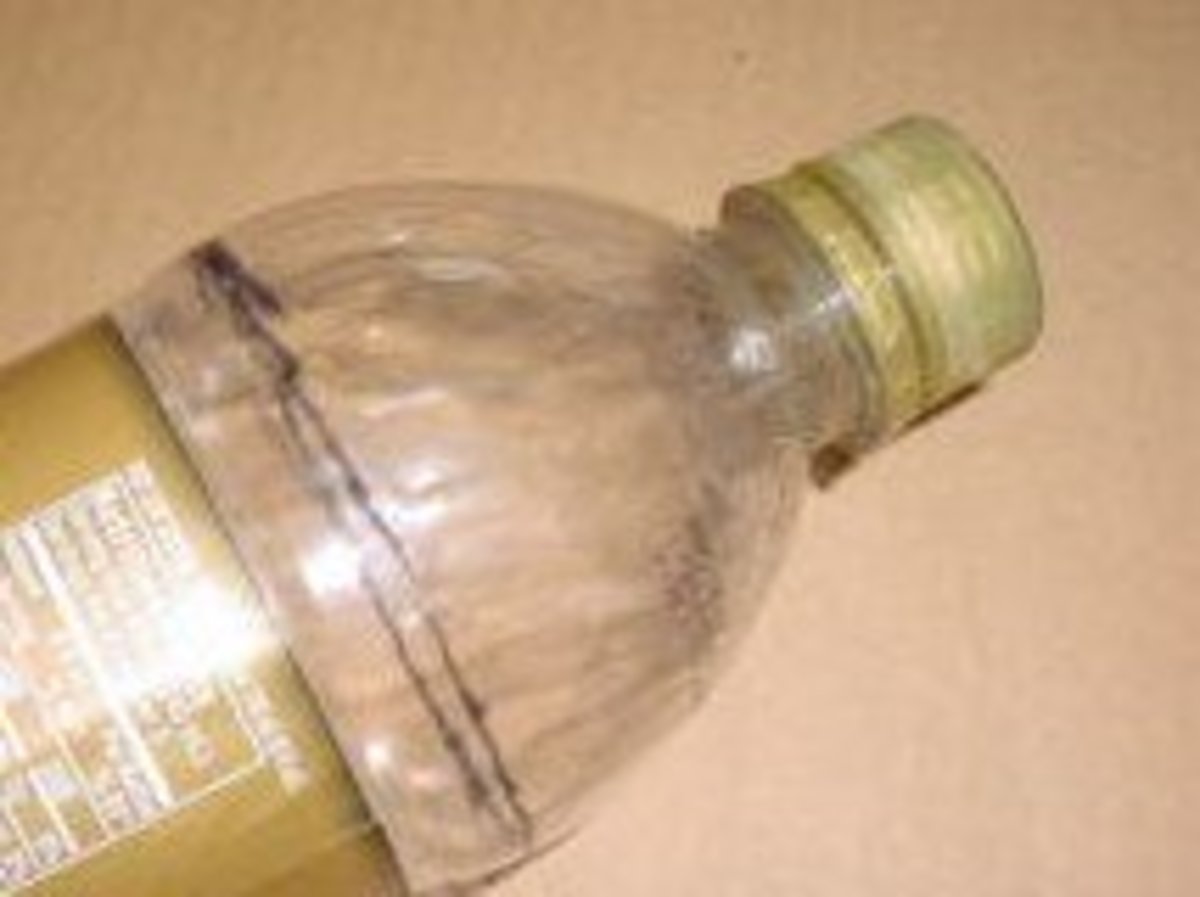 Cheap and Easy Stink-Bug Soda Bottle Trap