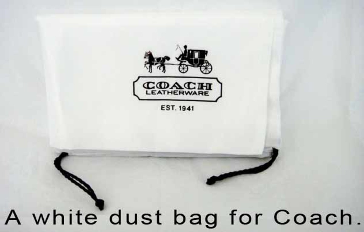 Direct Outlet] COACH X Disney Warren Mini Belt Bag – Vinee Bag