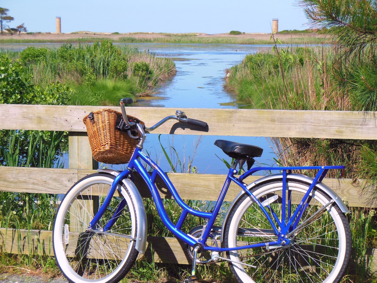 Fun Activities in Delaware's Cape Henlopen State Park