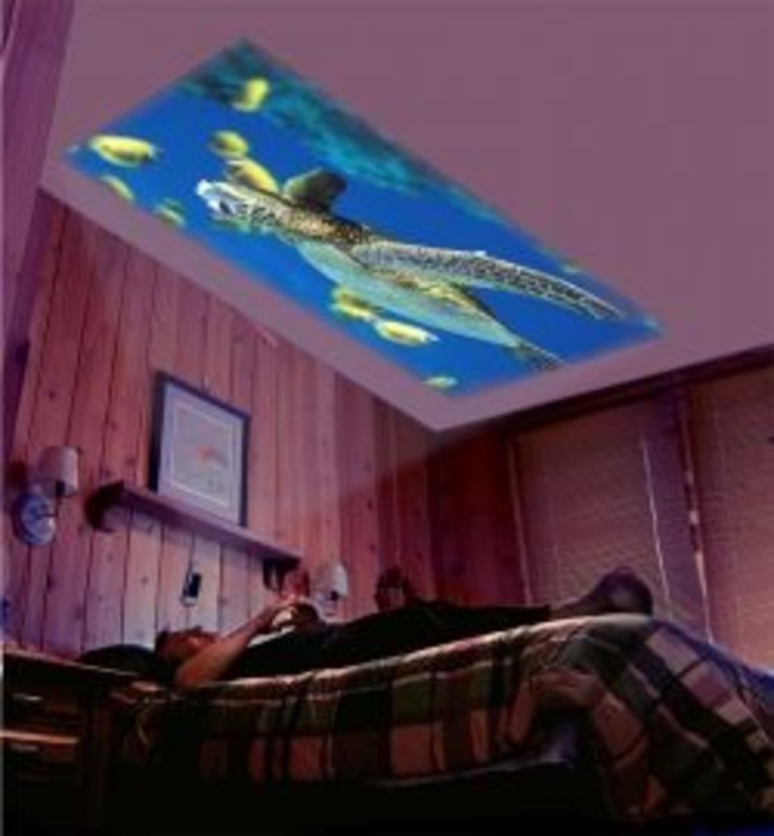 big-screen-home-theater-on-your-bedroom-ceiling-just-200
