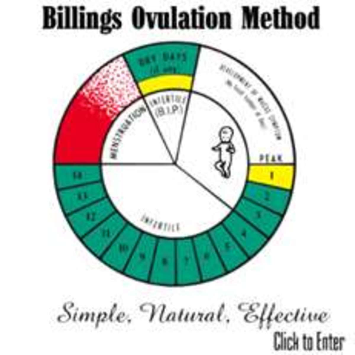 Ovulation Method Chart