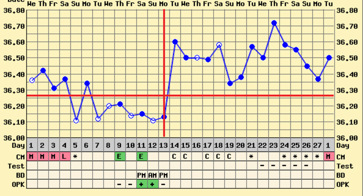 Charting your temperature together with cervical mucus and ovulation test strips can really help pinpoint ovulation. In this diagram it is clear that I ovulated on day 13.