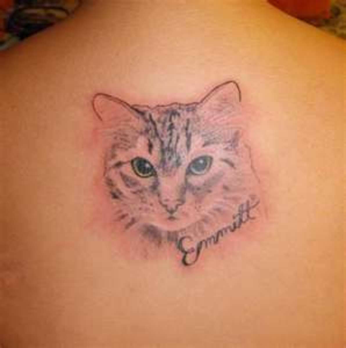 cat-tattoo-pictures