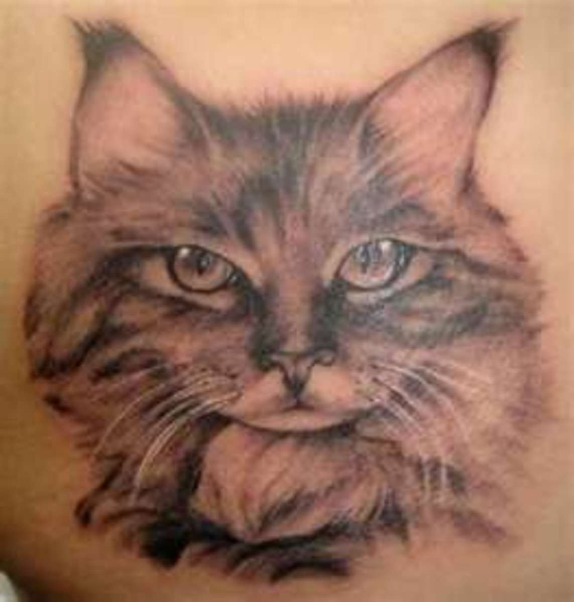 Unique Small Cat Tattoos