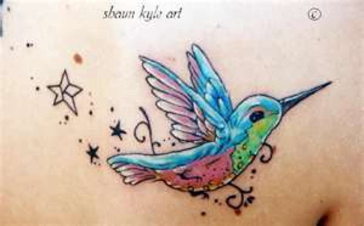 humming-bird-tattoos