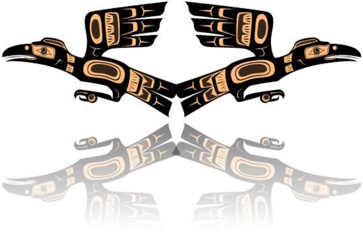 Raven and Crow Symbolism and Meaning - HubPages