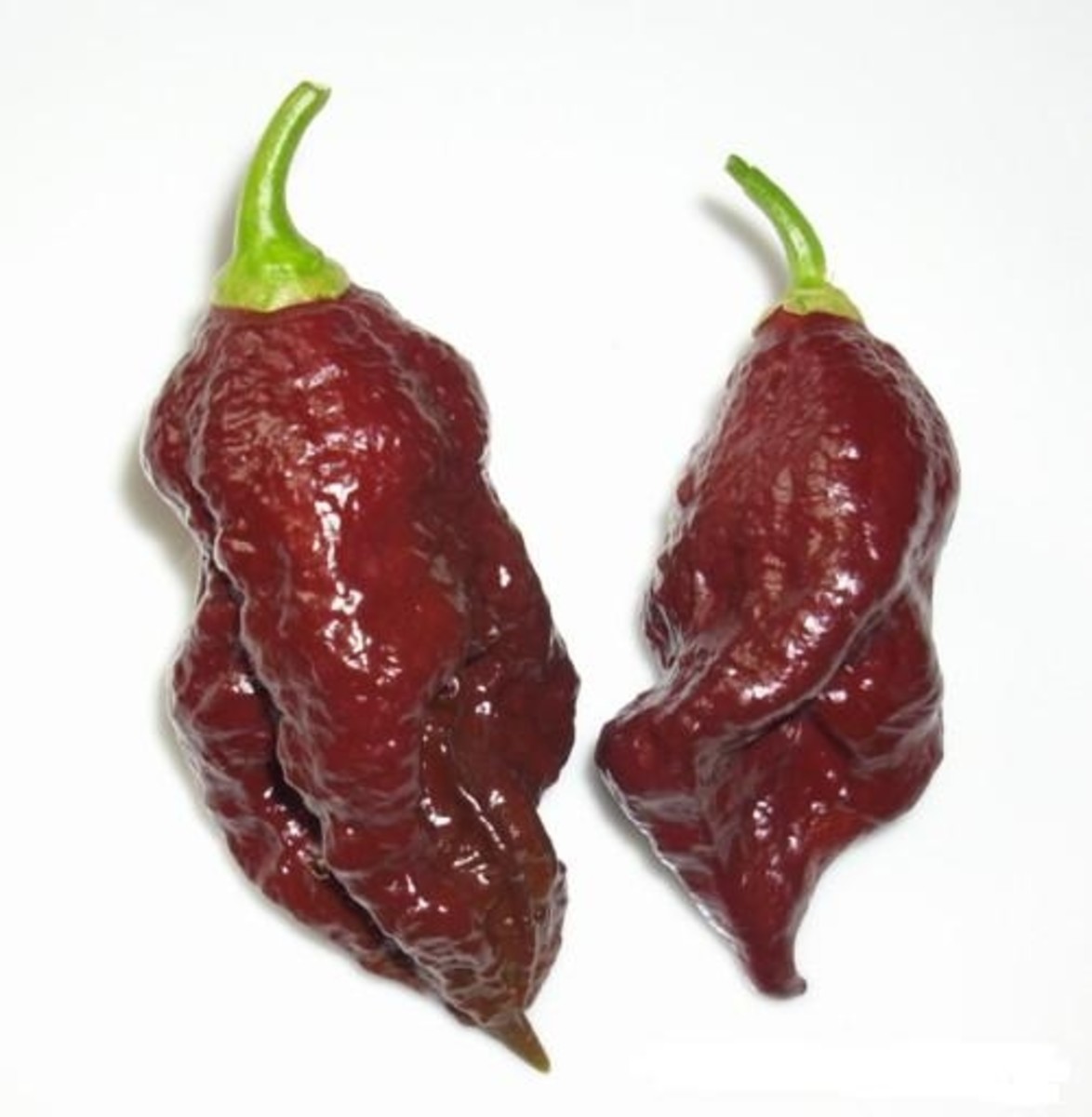 the-hottest-pepper-in-the-world-2