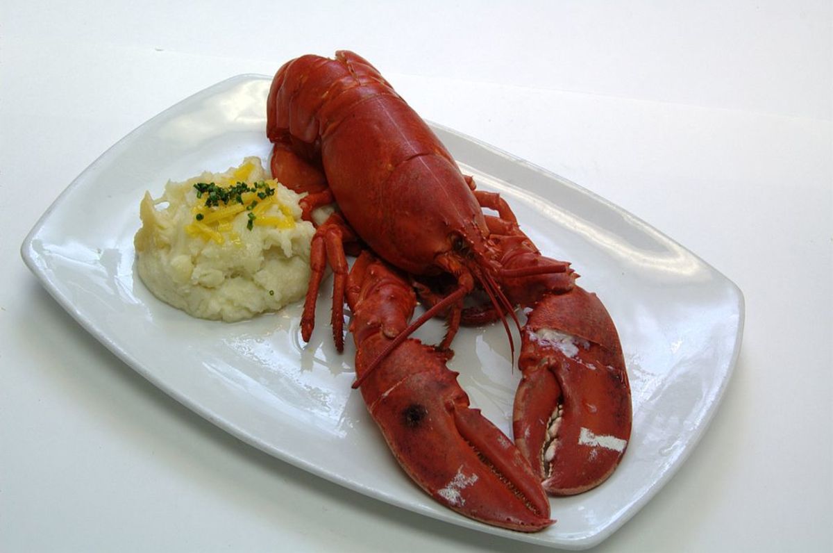 Steamed lobster 