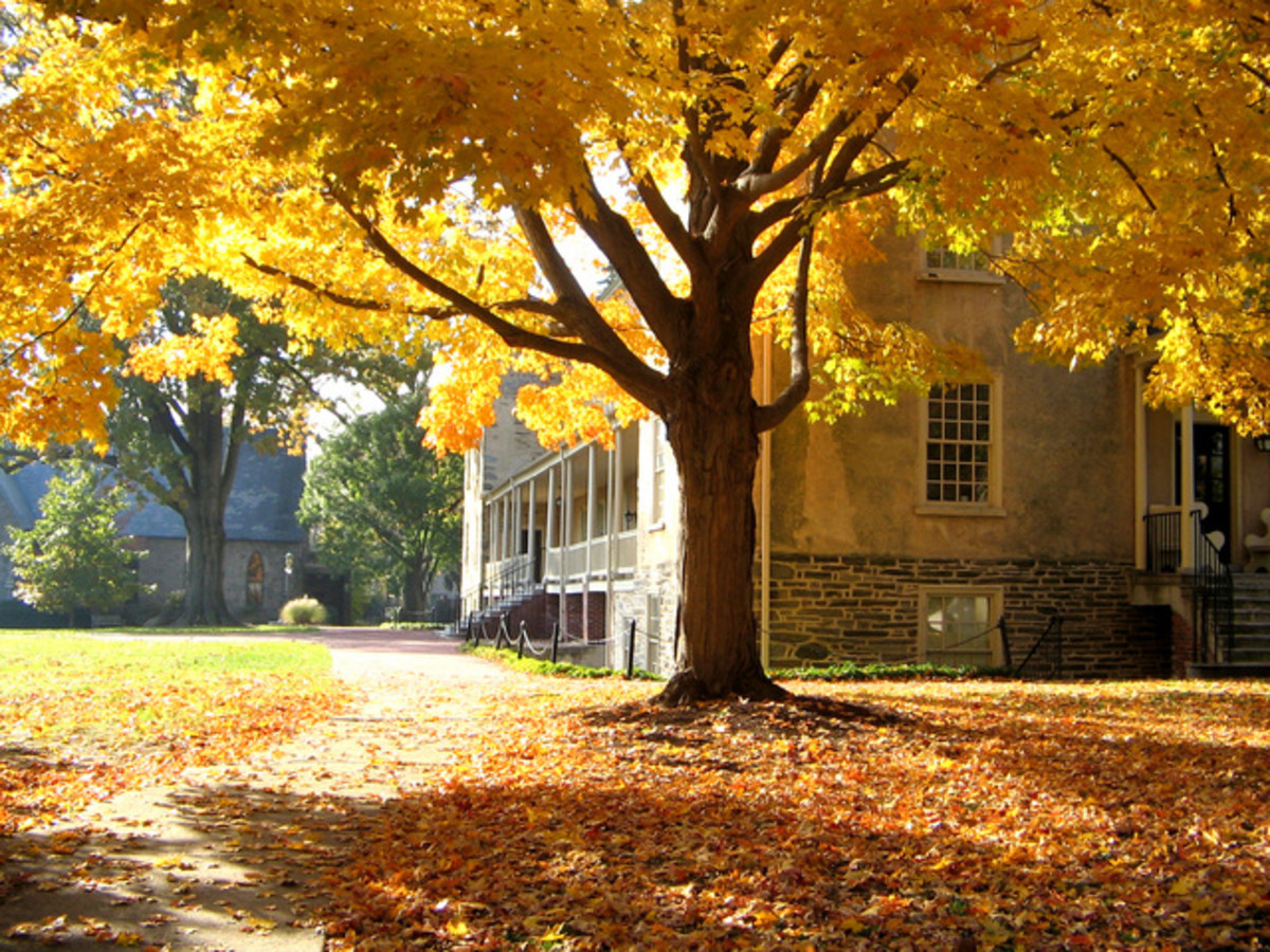 My List of Beautiful Liberal Arts College Campuses (Part 2)