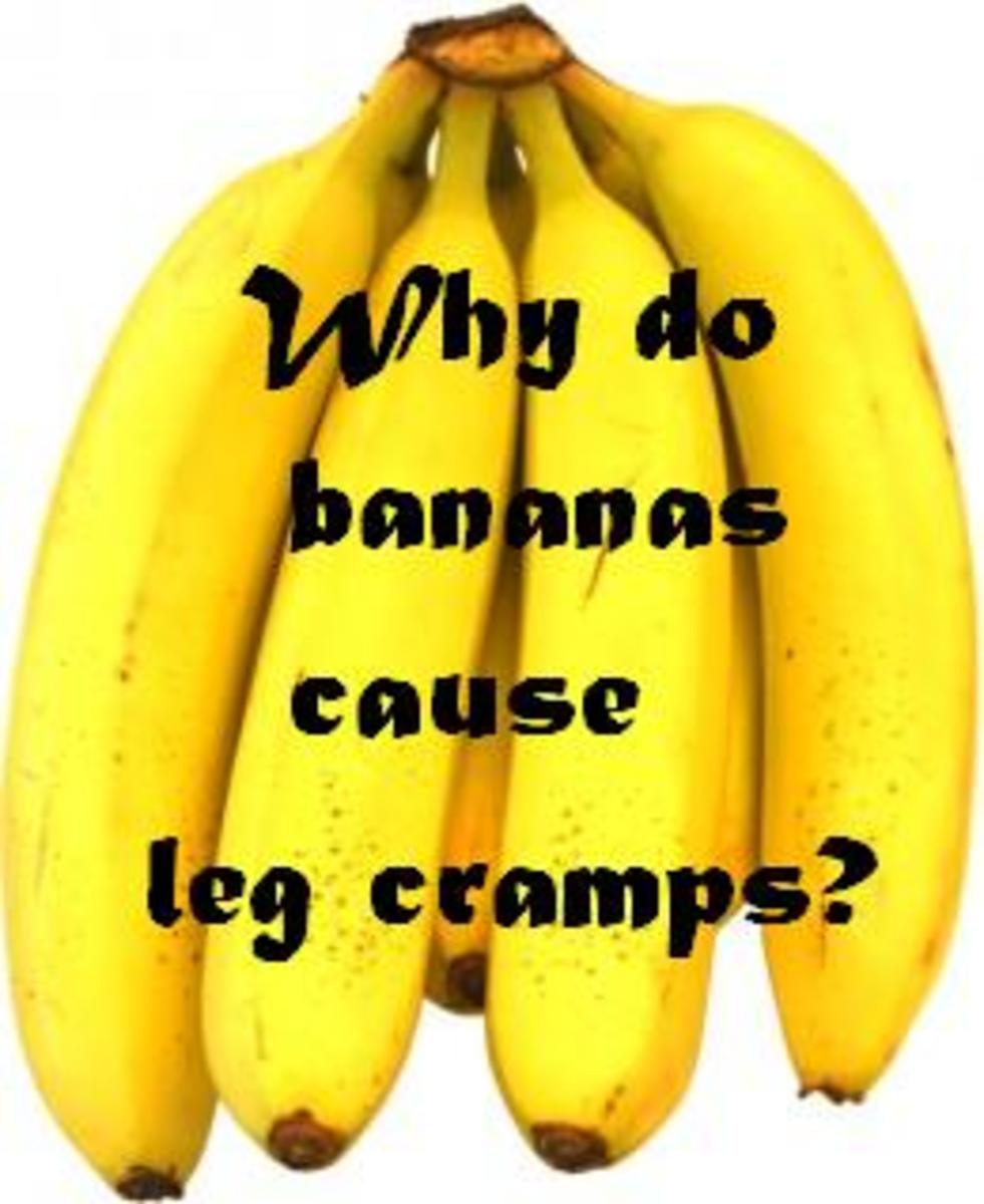 Bananas are a healthy fruit.  But they can also give you leg cramps.