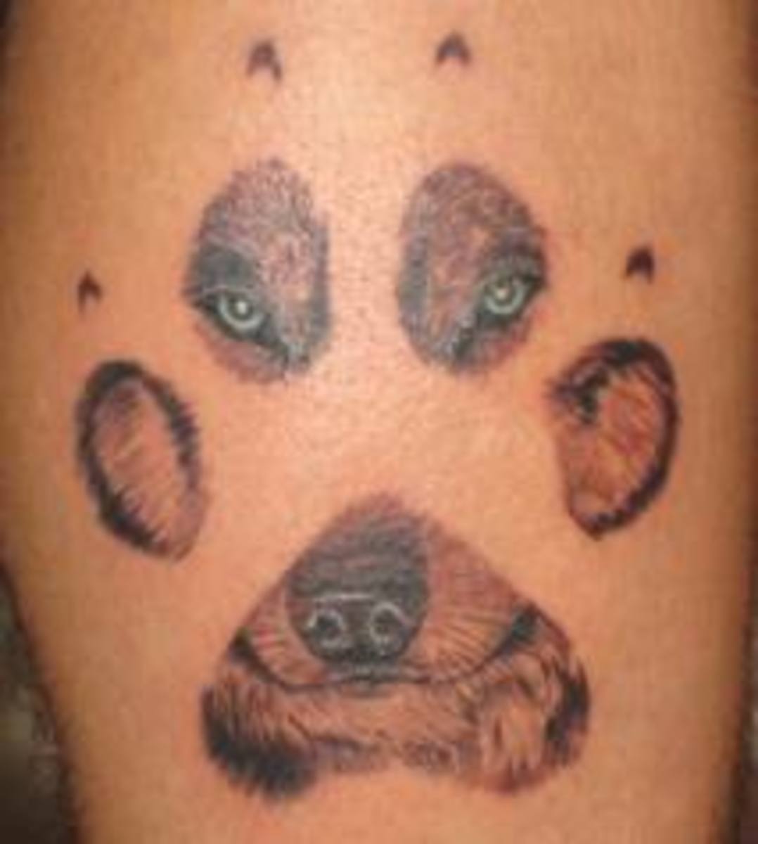 paw-print-tattoos-and-designs-paw-print-tattoo-meanings-and-ideas