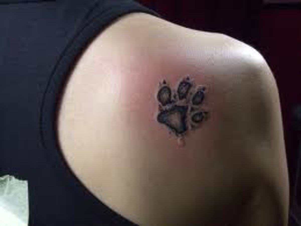 paw-print-tattoos-and-designs-paw-print-tattoo-meanings-and-ideas