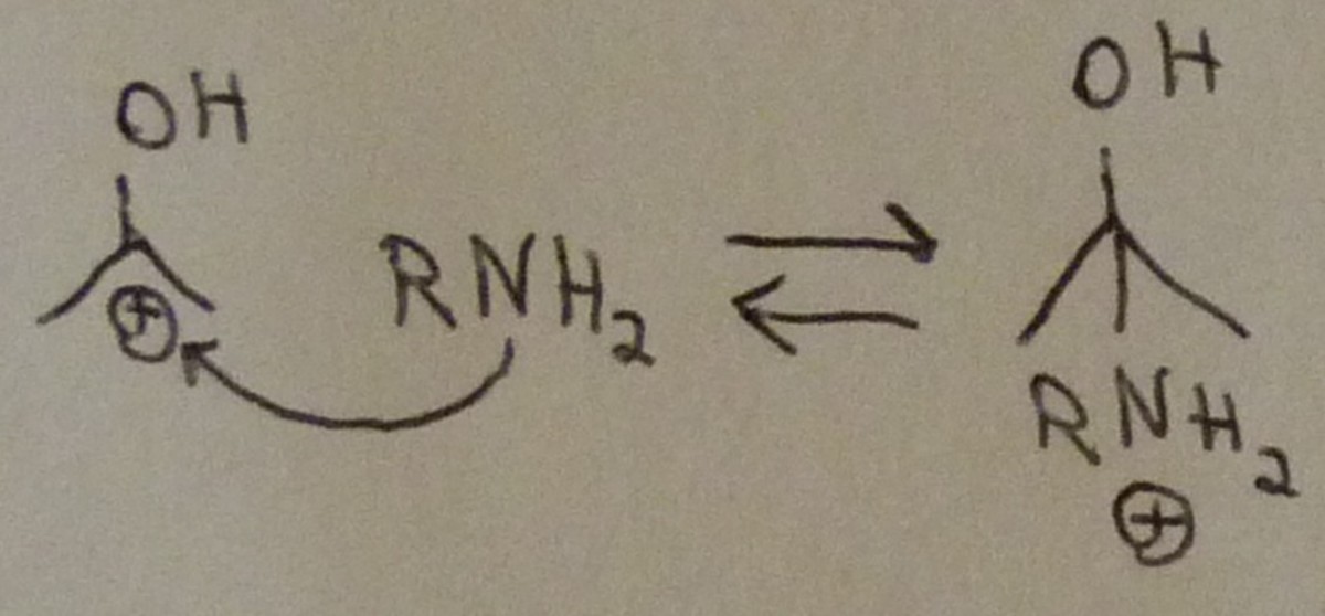 organic-chemistry-imine-formation-and-hydrolysis
