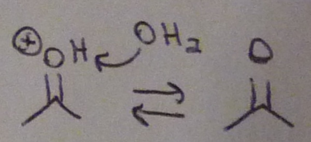 organic-chemistry-imine-formation-and-hydrolysis