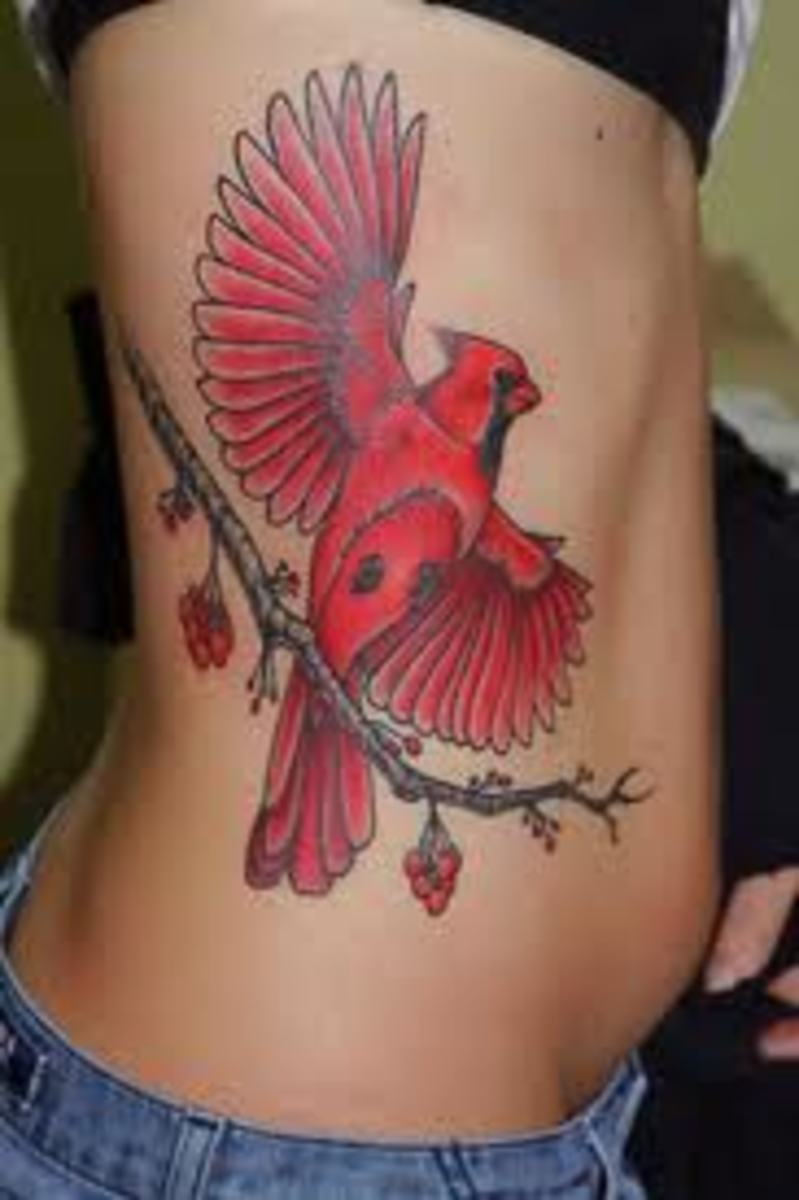 Red cardinal for Joe swipe left to see the healed picture  birdtattoo  birdtattoos redcardinal Done with emallaofficial  Instagram