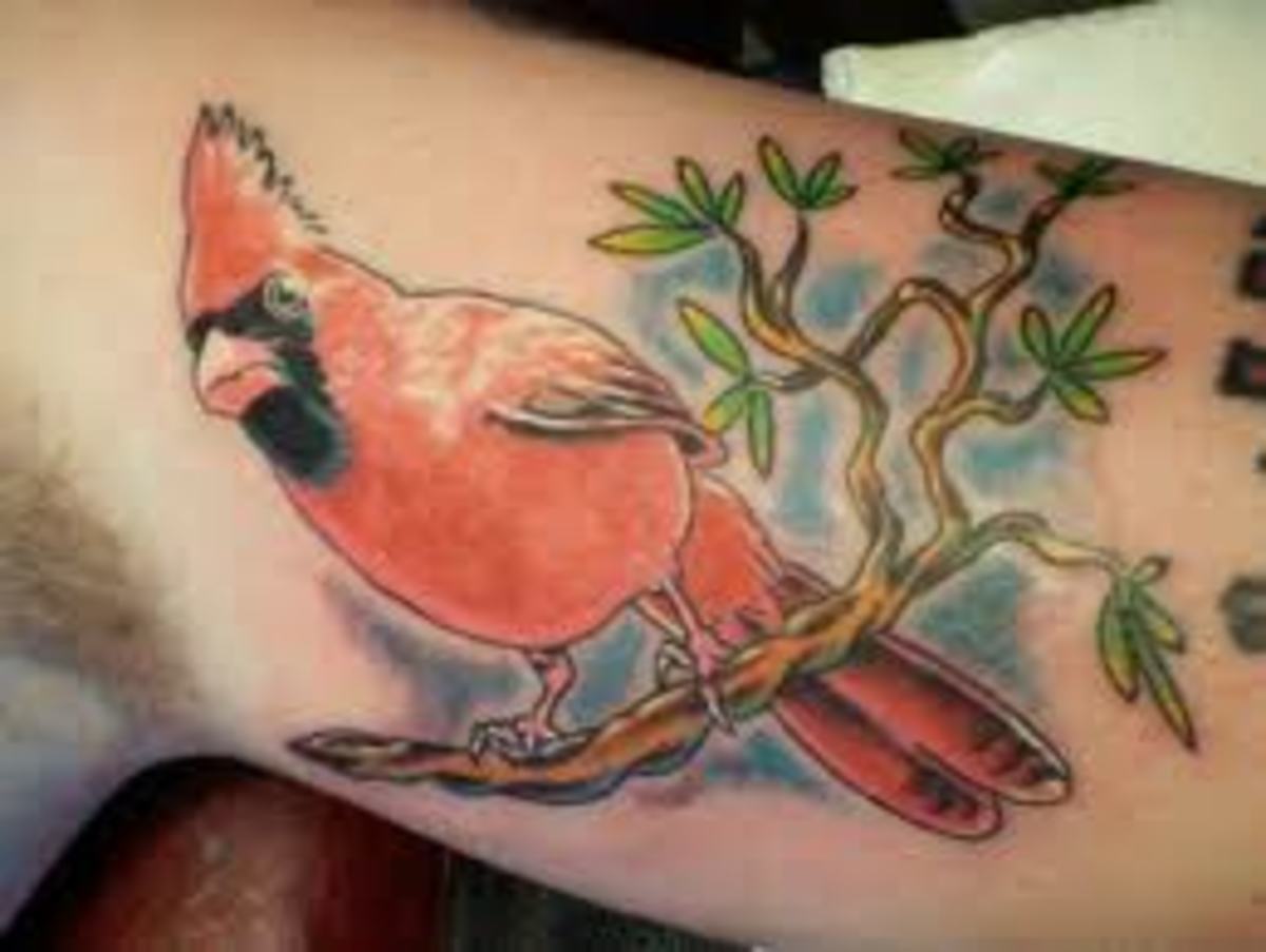 cardinal-tattoos-and-designs-cardinal-tattoo-ideas-and-meanings